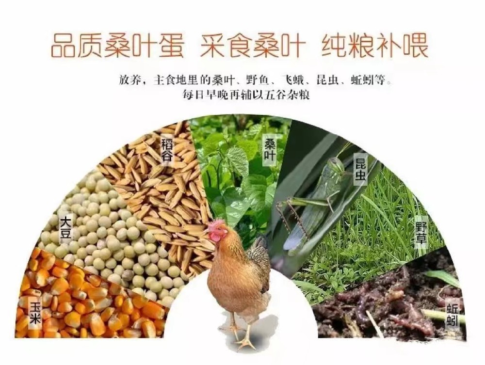 微信图片_20240619170328.jpg